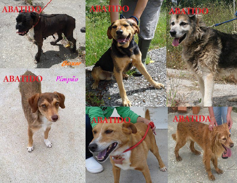 tumblr_mchbnvB1sY1r9bkpwo1_1280