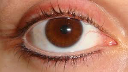 4_partes_corpo_desnecessarias_4