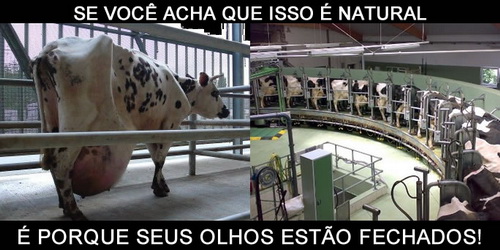 olhos-fechados