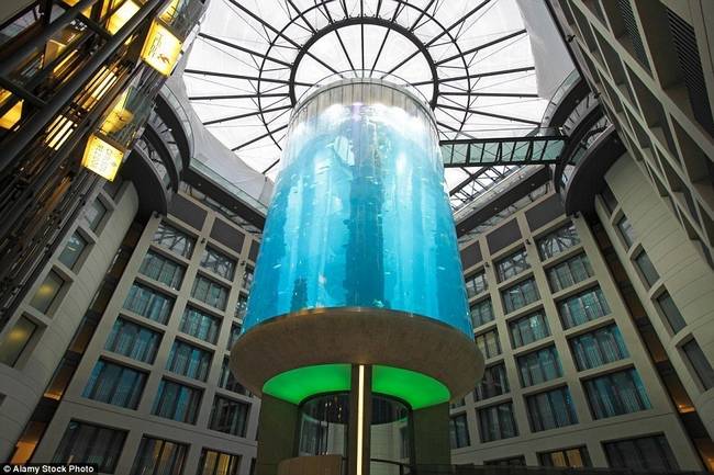 Elevadores-Incriveis-2