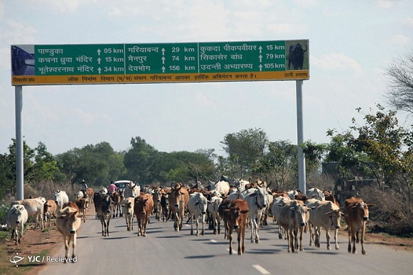 Chhattisgarh