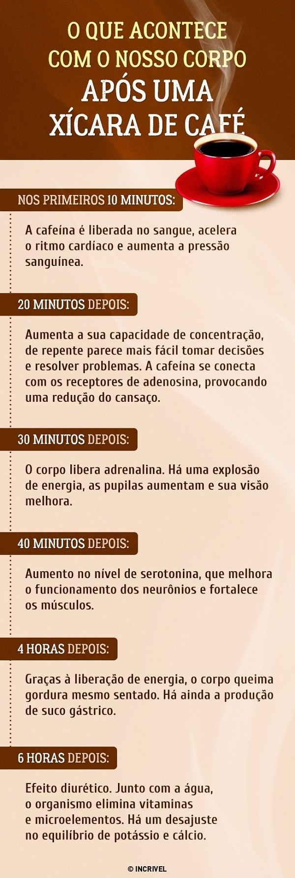 o que faz o café ao nosso corpo