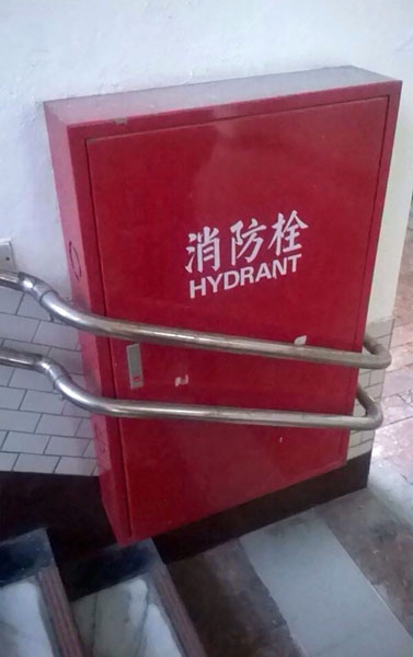 estupido10